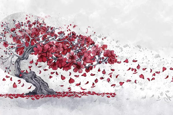 Trees In Transition: Cherry Blossom by Marine Loup