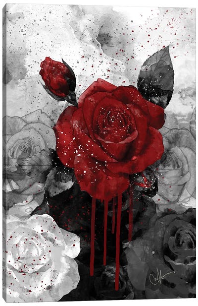 Crimson Canvas Art Print - Rose Art