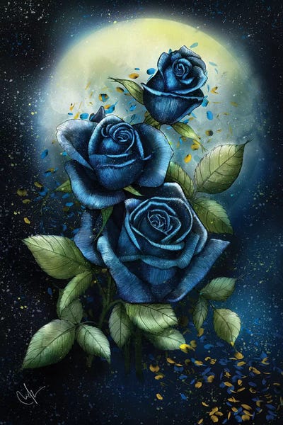 Night Roses by Marine Loup framed wall art