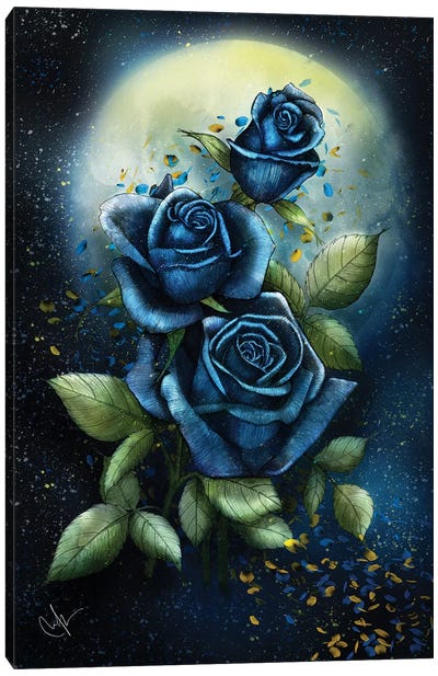 Night Roses Canvas Art Print - Marine Loup