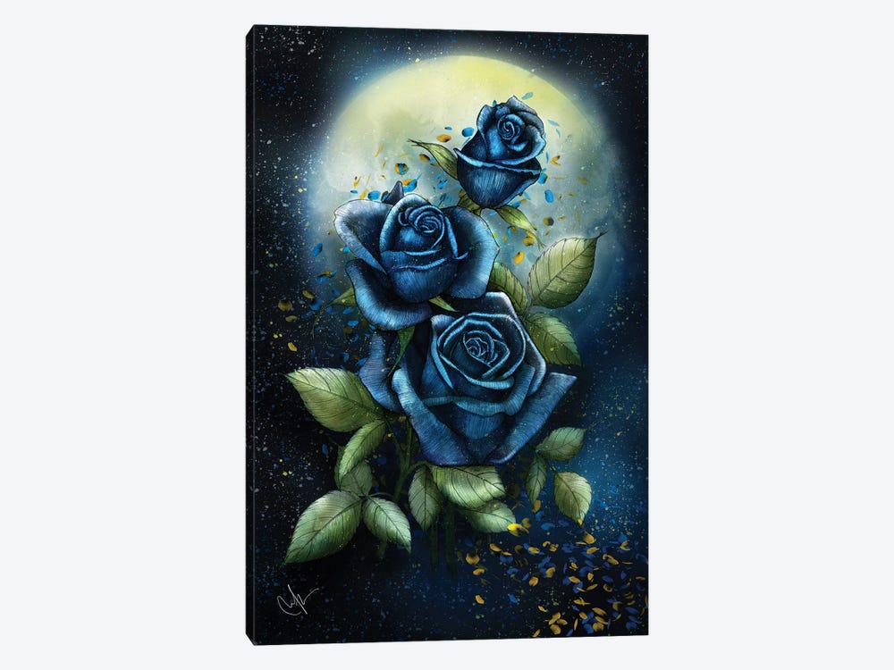 Night Roses by Marine Loup 1-piece Canvas Art