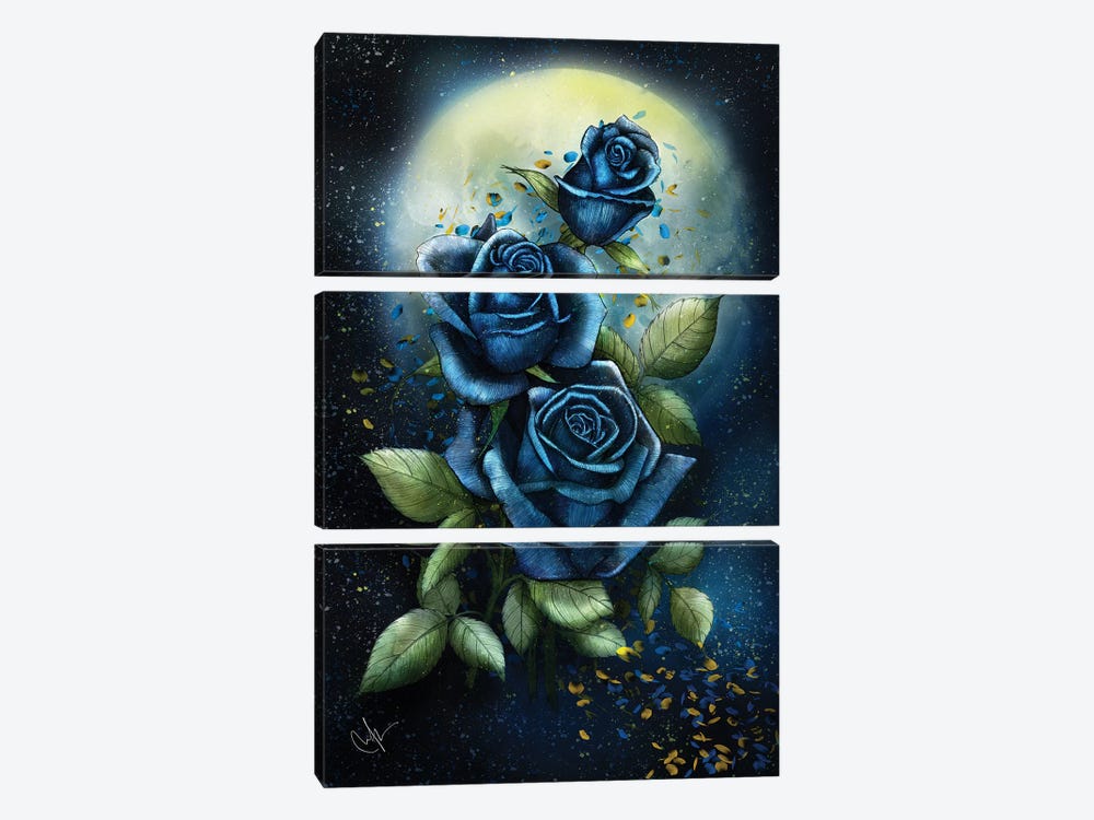 Night Roses by Marine Loup 3-piece Canvas Art