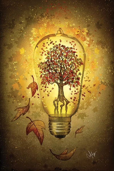 Imagination: Autumn Light by Marine Loup