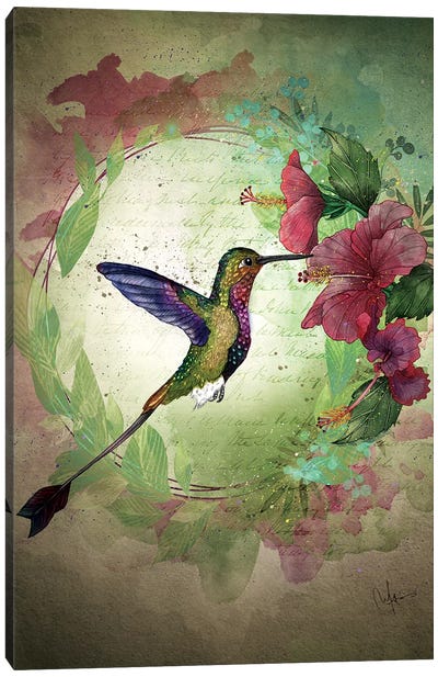 Fleeting Serendipity Canvas Art Print - Hummingbird Art