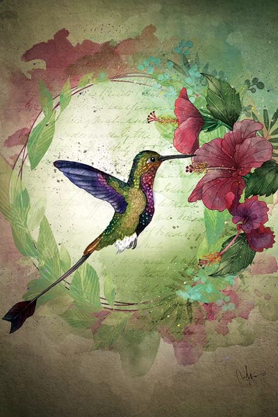Hummingbirds: Fleeting Serendipity by Marine Loup