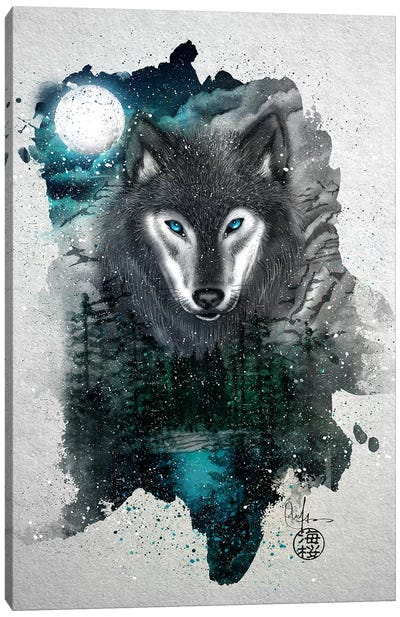 Night Of The Wolf Canvas Art Print - Marine Loup