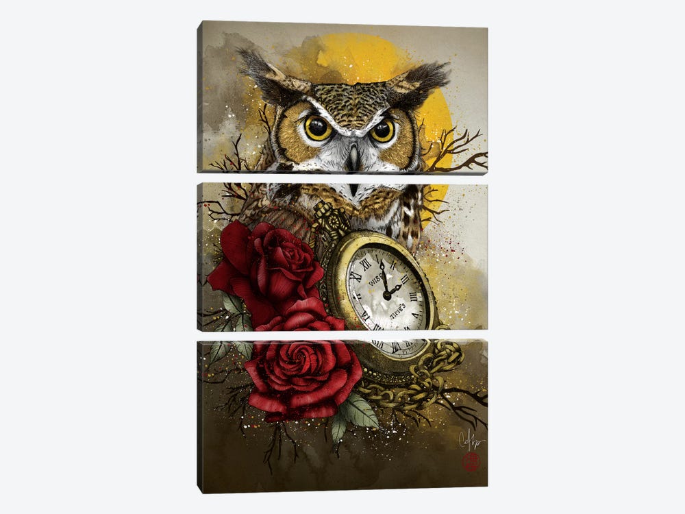 Time Is Wise by Marine Loup 3-piece Art Print