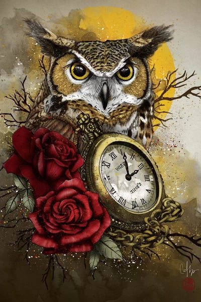 Owls: Time Is Wise by Marine Loup