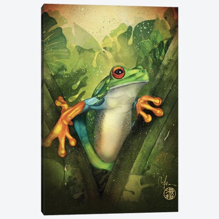 The Frog Canvas Print #MUP89} by Marine Loup Canvas Art Print