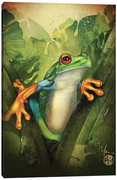 The Frog Canvas Art Print - Frog Art