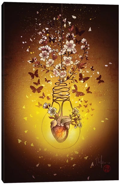 My Enlightened Heart Canvas Art Print - Marine Loup