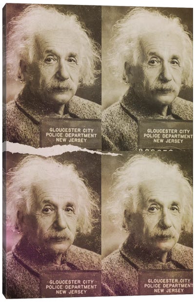 Albert Einstein Canvas Art Print - Mug Shot Multiples