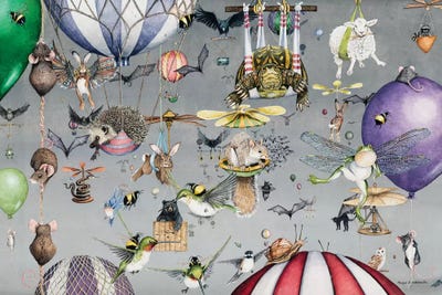 Hot Air Balloons