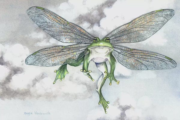 Frogs: Ribbit by Maggie Vandewalle