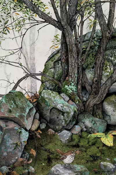 Insects: Crannies by Maggie Vandewalle