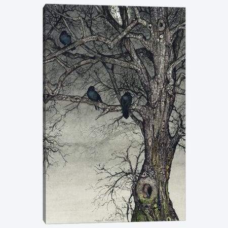 The Roosting Place Canvas Print #MVA110} by Maggie Vandewalle Canvas Wall Art
