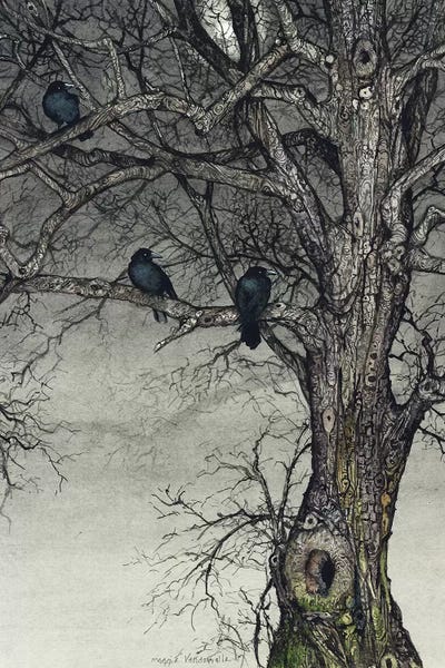 Maggie Vandewalle: The Roosting Place by Maggie Vandewalle