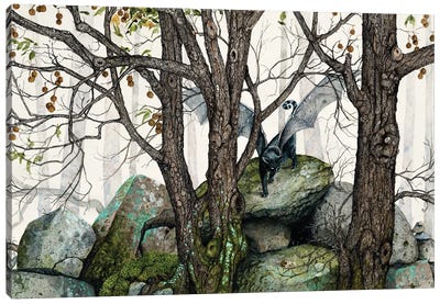 The Wild Canvas Art Print - Maggie Vandewalle