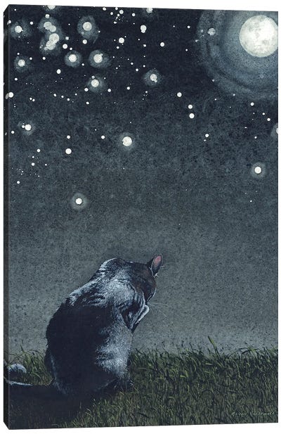 Moonbathing Canvas Art Print - Black Cat Art