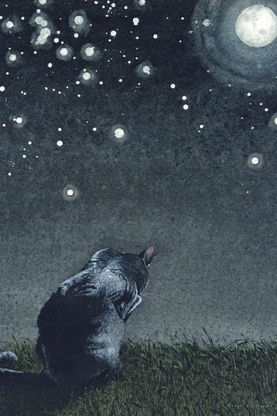 Black Cats: Moonbathing by Maggie Vandewalle