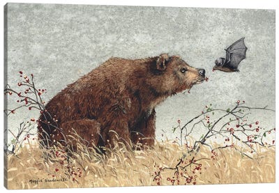 Chance Encounter Canvas Art Print - Bear Art