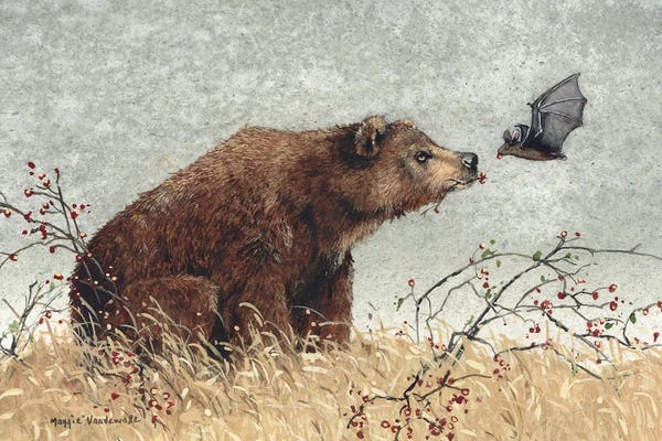 Bats: Chance Encounter by Maggie Vandewalle