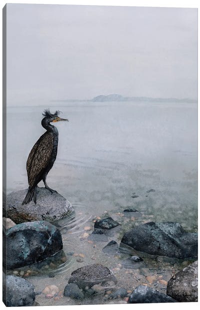 The Shallows Canvas Art Print - Urban River, Lake & Waterfront Art