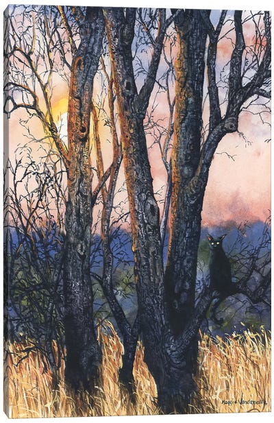 Sundown Canvas Art Print - Sunrise & Sunset Art