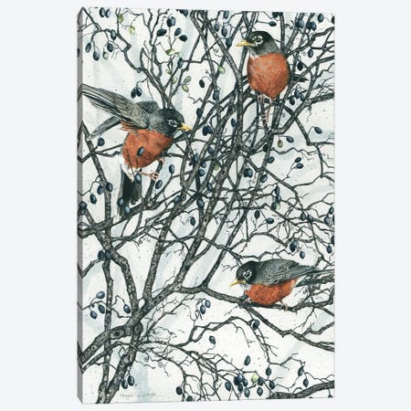 Winter Berries Canvas Print #MVA136} by Maggie Vandewalle Canvas Art Print