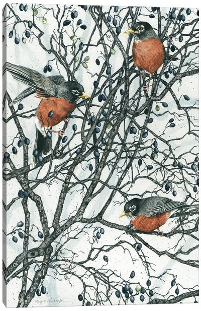 Winter Berries Canvas Art Print - Robin Art