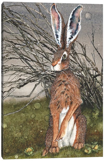 Briar Canvas Art Print - Rabbit Art