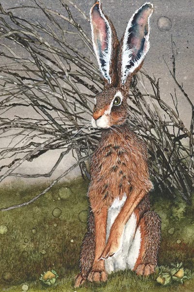 Wildlife: Briar by Maggie Vandewalle