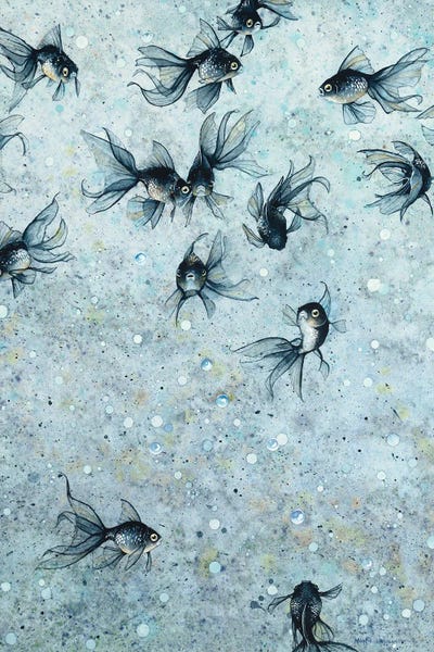 Fish: Umbra by Maggie Vandewalle