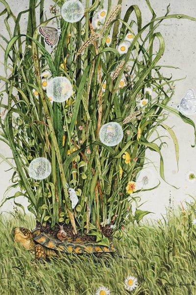 Reptiles & Amphibians: Stray Sod by Maggie Vandewalle