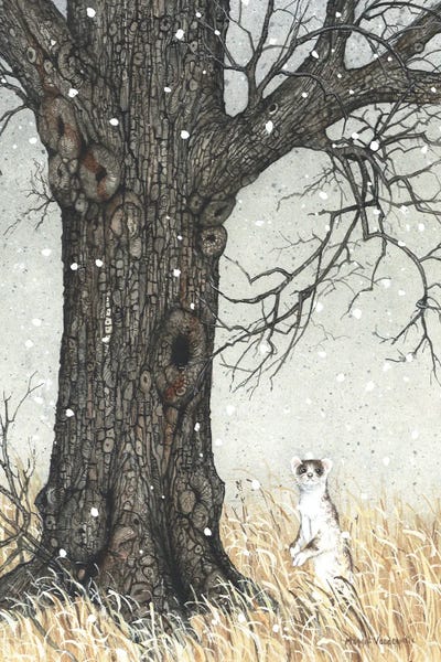 Maggie Vandewalle: Almost Winter by Maggie Vandewalle