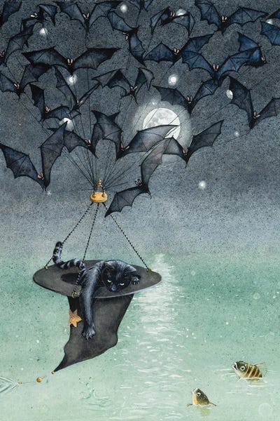 Black Cats: Fair Winds And Following Seas by Maggie Vandewalle