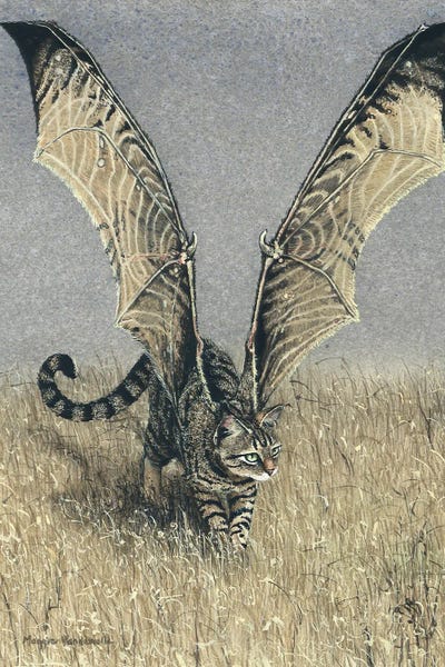 Maggie Vandewalle: Prowling by Maggie Vandewalle