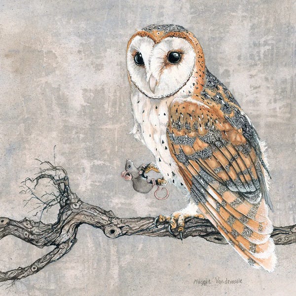 Rodents: Parley by Maggie Vandewalle