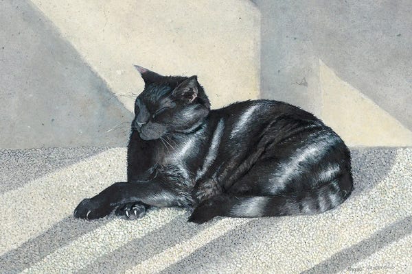 Sleeping & Napping: Venerable by Maggie Vandewalle