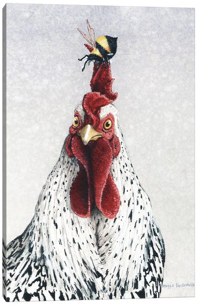 Startled Canvas Art Print - Chicken & Rooster Art
