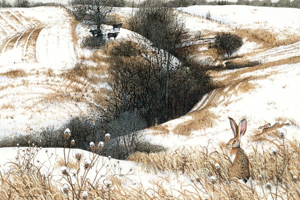 Snow: Ley Lines by Maggie Vandewalle