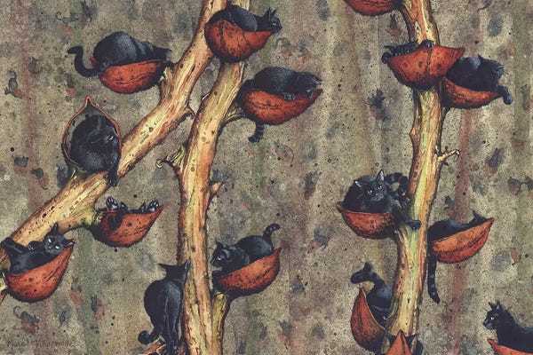 Black Cats: Catkins by Maggie Vandewalle