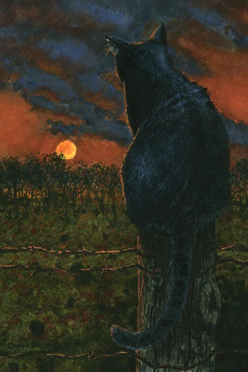 Red Sky At Night by Maggie Vandewalle wall art