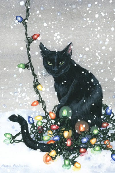 Black Cats: Shiny by Maggie Vandewalle