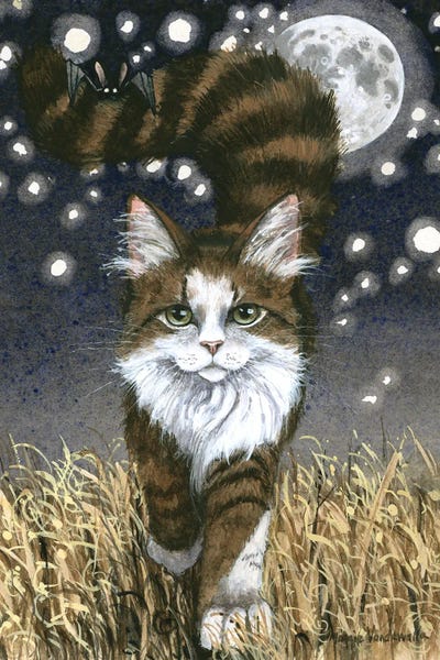 Bats: Tagalong by Maggie Vandewalle