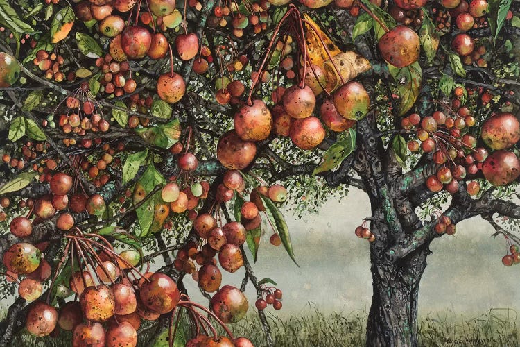 A Preponderance Of Pips by Maggie Vandewalle wall art