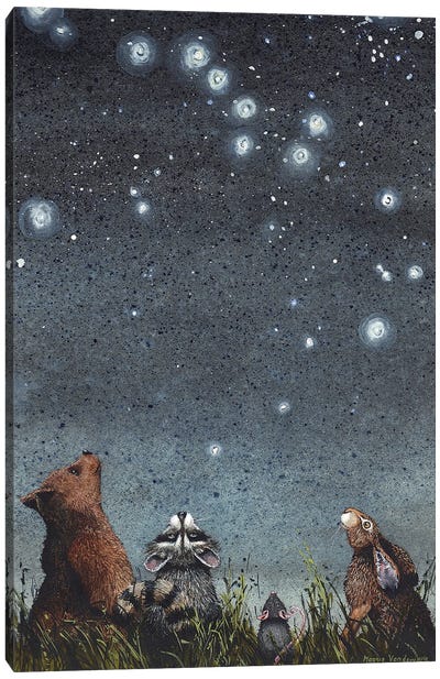 Constellations Canvas Art Print - Raccoon Art