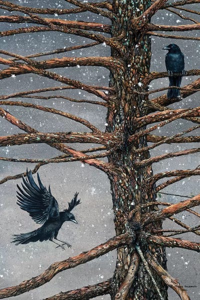 Maggie Vandewalle: Corvus Corvidae And The Cedar by Maggie Vandewalle