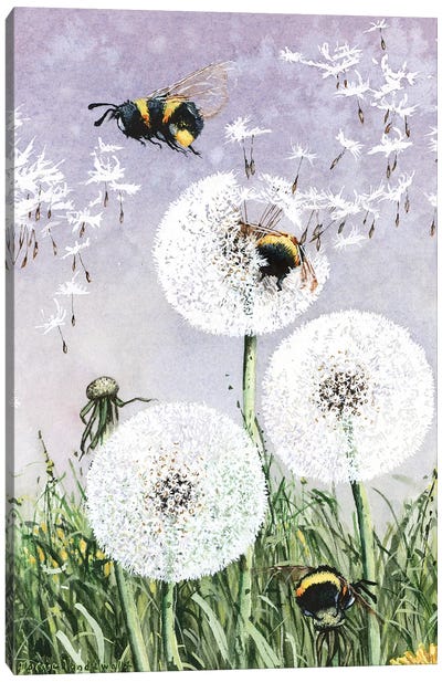 Dandybees Canvas Art Print - Large Floral & Botanical Art