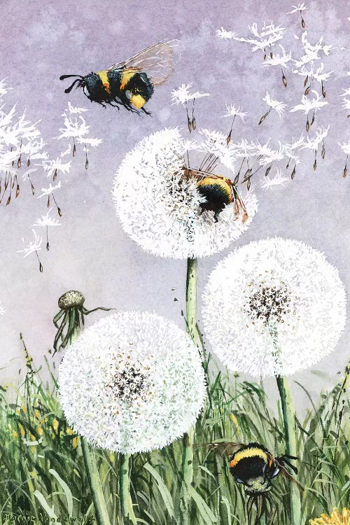 Dandybees by Maggie Vandewalle wall art